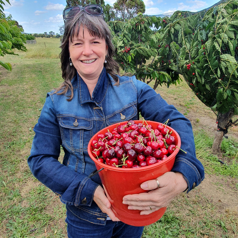 Cherry Picking in Southern NSW