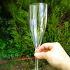 Palm Unbreakable Alfresco Drinkware - Champagne Flute