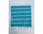 Picnic Towel - Maine Turquoise & White