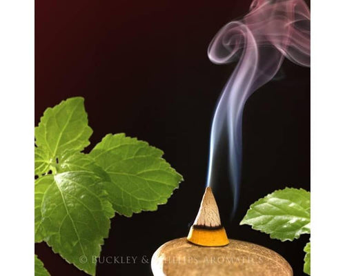 Simply incense patchouli